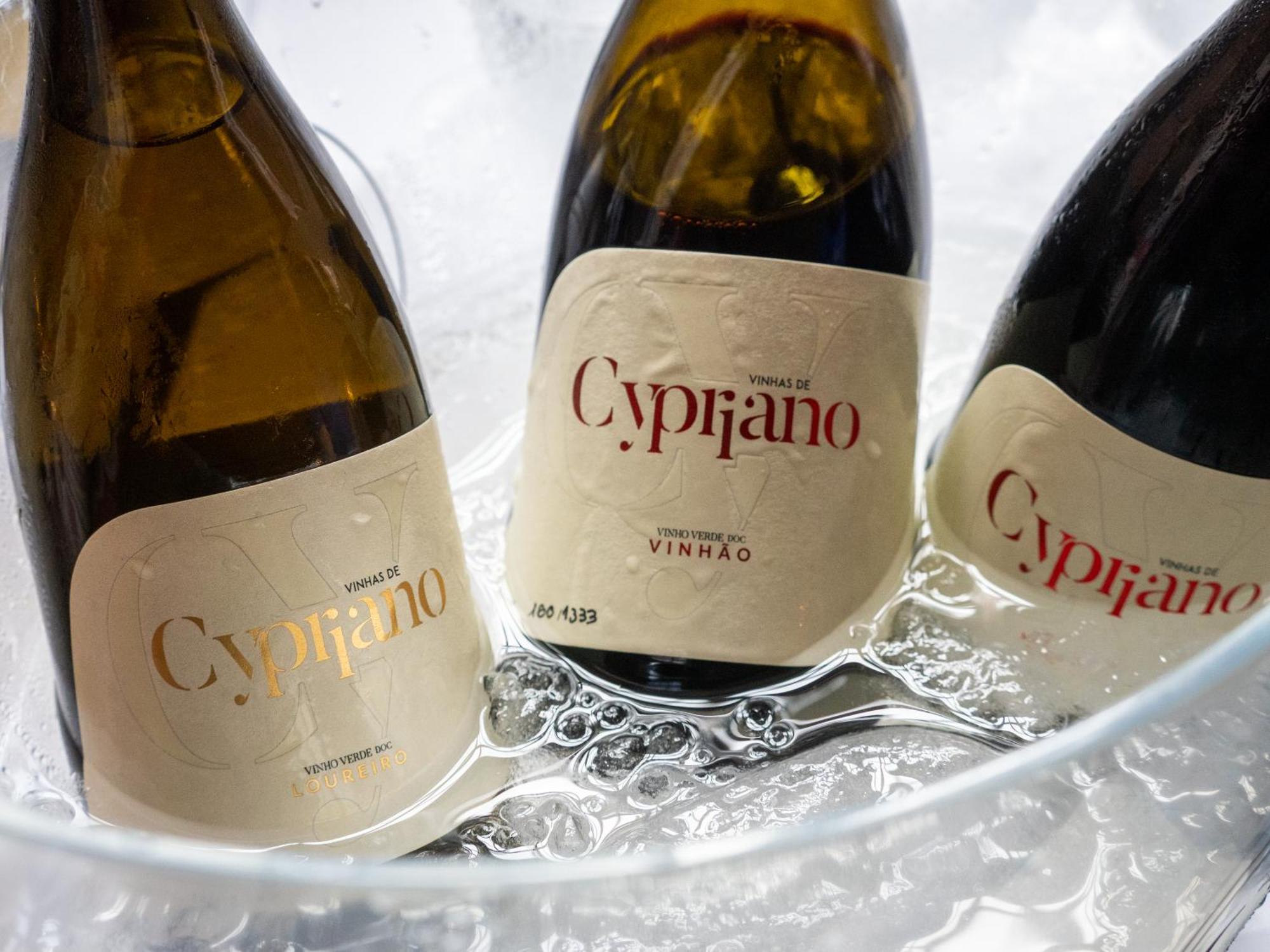 פונטה דה בארקה Quinta De Cypriano - Wine & Nature מראה חיצוני תמונה