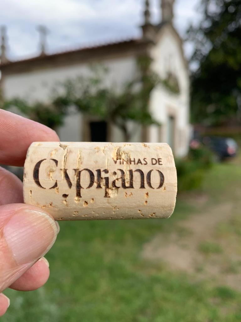 פונטה דה בארקה Quinta De Cypriano - Wine & Nature מראה חיצוני תמונה