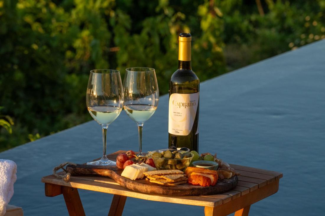 פונטה דה בארקה Quinta De Cypriano - Wine & Nature מראה חיצוני תמונה