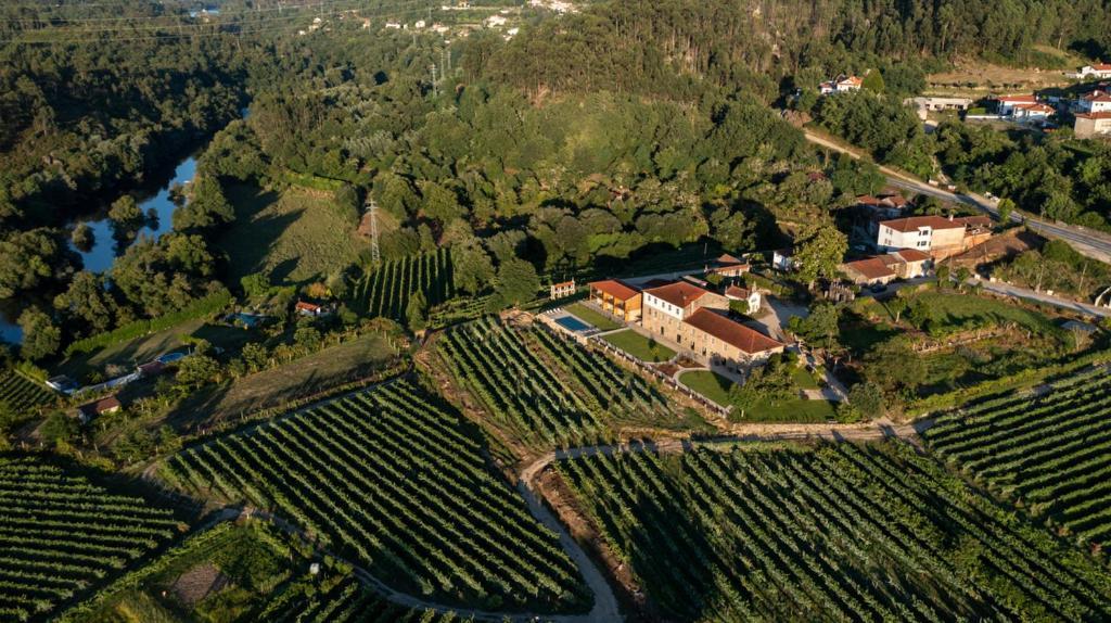 פונטה דה בארקה Quinta De Cypriano - Wine & Nature מראה חיצוני תמונה