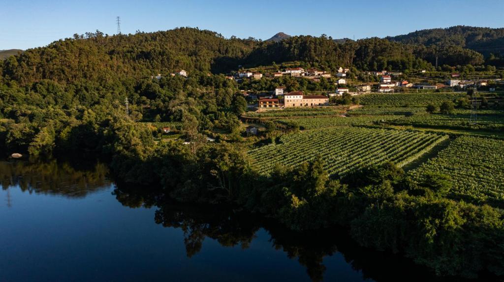 פונטה דה בארקה Quinta De Cypriano - Wine & Nature מראה חיצוני תמונה